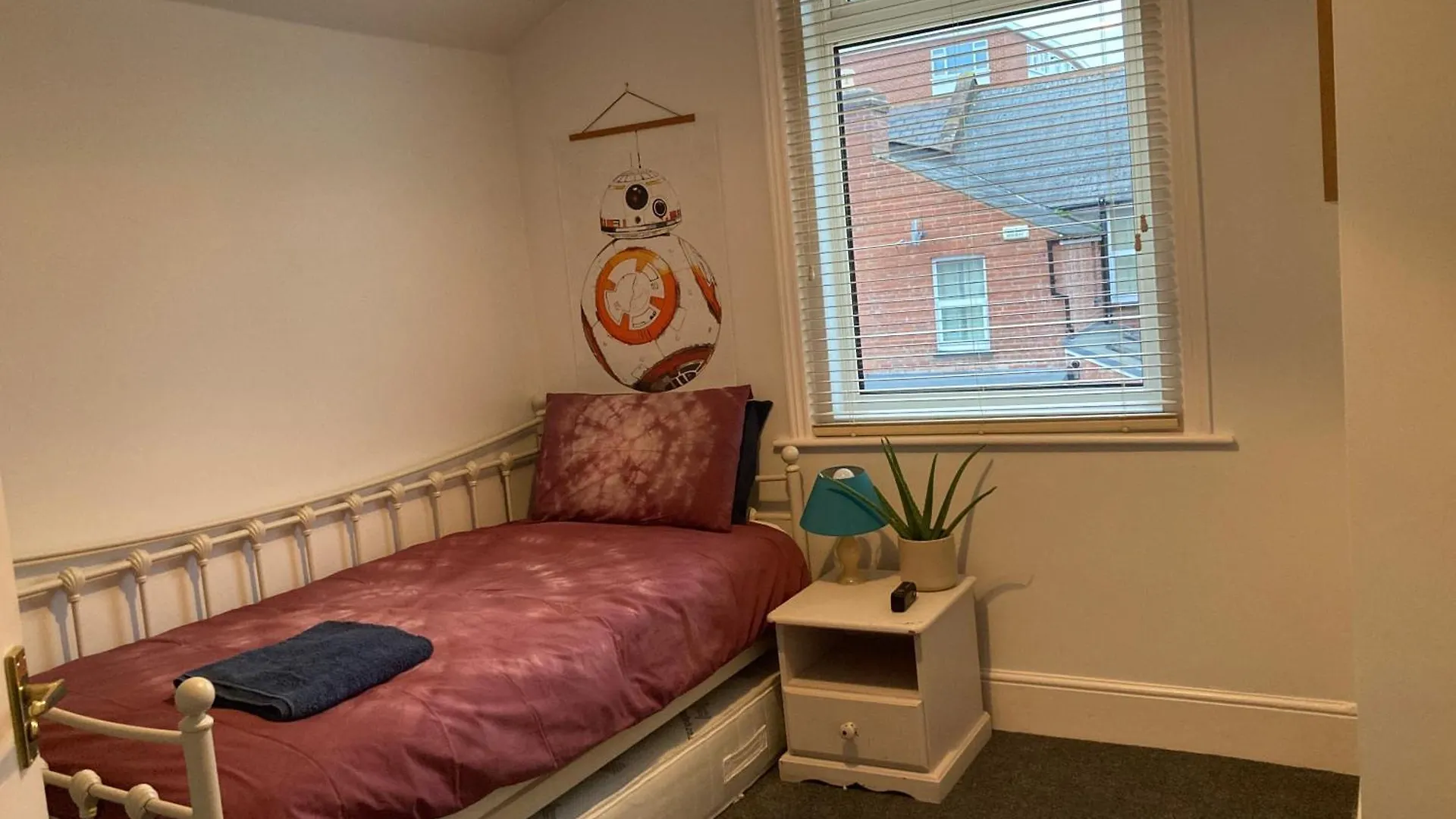3 Bedroom Victorian House Close To City Centre Exeter Apartman